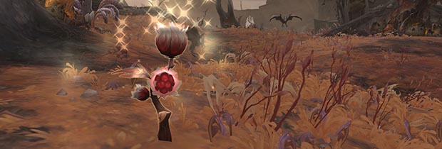 Widowbloom